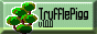 Project Badge